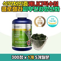 캐나다 씹어먹는 클루렐라 정 영양제 건강기능식품 온가족 여성 남성 청소년 노인 중년 장년 항산화 피부건강 도움 크로렐라 클로렐라 콜로렐라 글로렐라 엽록소 하루 권장 섭취량 이너뷰티 녹조식물 단세포 플랑크톤 보충제
