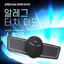 코차 알레그 저주파 마사지 패드 운동 안마기 소형, 소형패드2개+리모콘2개