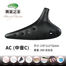 TNG 대만 도적 12공 전공 연주 시니어 초보 입문생 ac중 오카리나-51732, 옵션01