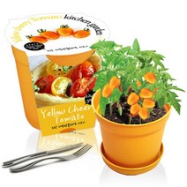 [천삼백케이] [농업회사법인 세경팜 주식회사] 세경팜 컬러키친가든 노랑대추방울토마토 식물키우기 텃밭가꾸기, 화이트, 루꼴라