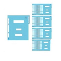 서일산업 정부화일 A4, 청색, 100개입