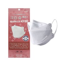 크린숨 플러스 황사마스크 대형 KF80, 1개, 50개입