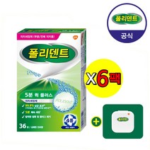 폴리덴트 5분 퀵 의치 36정x6박스+ 의치 케이스 증정 6개, 36개입