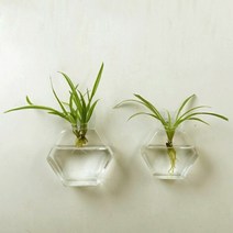 새로운 테라리움 공 글로브 모양 지우기 유리 꽃병 화분 냄비 벽 물고기 탱크 수족관 컨테이너 홈 장식, 02 15x16cm