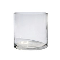 그린테라피 개운죽 키우기실내공기정화식물 수경재배 행운목 수경식물, 유리원통(10x10cm), 1개