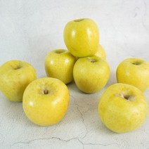 [미식한가] 2023년 햇사과! 새콤달콤 황금사과 시나노골드(가정용) 2kg, 시나노골드 사과 (가정용) 2kg 7-9과