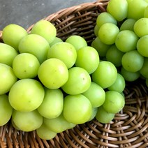 국내산 프리미엄 망고포도 고당도 샤인머스켓 1킬로(2-3수) 2킬로(4-6수) 농장 직배송, 1개, 2KG(4-6수)