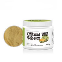SM솔루션 칸탈로프멜론 분말 250g, 1개