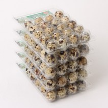 이승용님 농장발송 HACCP인증 무항생제, 1박스, 메추리알 20구 x 10팩