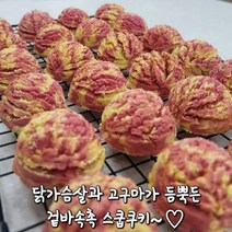 맛있개신나개 강아지 수제간식 생일 케이크 닭 고구마 애견 스쿱쿠키