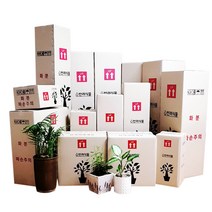 박스365 튼튼한 꽃 생화 화훼 나무 화분 화초 식물 택배박스 29종 모음, 연갈색 박스 A455 80장(250*130*305), 80개입