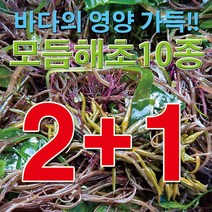 해초 샐러드 염장10가지 500g 2+1 완도 국내산 꼬시래기 과메기 무침 다시마 해초국수, 2+1특가