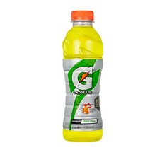 칠성 갈증해소 아미노산 게토레이 레몬 페트 스포츠음료 이온음료 600ML 20개, 10세트