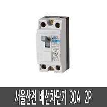 배선차단기 서울산전 산업용 차단기 MCCB 쁘레카 30A
