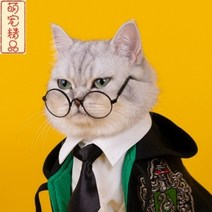 해리포터 호그와트 아카데미 강아지 고양이 애완 동물 망토, S, 안경 한사이즈
