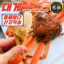 동해안 준 박달대게 5미 소짜 9-9.4cm (자숙) (1.6-1.8KG), A급 자숙연지홍게3KG10-12미(수율 80-90)