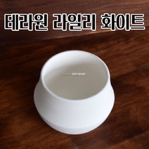 국산토분 라일리화이트 10X9.5CM 화분 선인장 화초 꽃 공 빈 분갈이