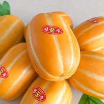 성주참외 고당도 꿀참외 당일수확 산지직송1kg 1.5kg 2kg 5kg, 10.성주 꿀 참외 대과 2kg/4~8과