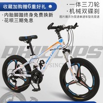 영국 필립스 다혼스피드D9 제트스트림 사바파이크 k3 팻바이크 티티카카 자이언트 giant 펫 mtb 유사브롬톤 풀샥, 21 속도|20 인치F, 단일사이즈