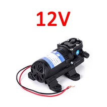 DP-521 내구성 12 V 220V 70PSI 3.5Lmin 농업 전기 워터 펌프 마이크로 고압 다이어프램 물 스프레이 세차, 12v