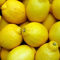 과일 (특급) 오늘출고 레몬4KG 레몬 레몬즙 레몬청만들기 레몬나무 [WBB616C], 쿠팡 4KG, 쿠팡 본상품선택