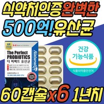 프로바이오틱스 장내 유해균 미생물 4세대 유산균 락토바실러스 불가리쿠스 미생물 유익균 프락토 자일로 갈락토 올리고당 초등학생 중학생 수험생 성장기 청소년 온가족 패밀리