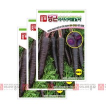 아시아종묘 자색당근씨앗 아시아퍼플러스 당근 (500립x3)