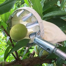 대추 열매 따기 수집기 과수원 주말농장 체험학습, 3m 직경 14CM 수집기