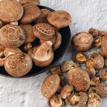 자연애 표고버섯 650g, 생표고버섯 특품 650g