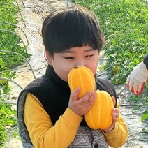 성주참외 석정현 농부의 정직한 참외 산지직송 [100박스 한정특가], 2kg 가정용+못난이 혼합(과수랜덤)