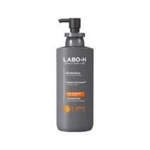 라보에이치 댄드러프 클리닉 지성트러블비듬 본품 333ml+리필 333ml 탈모증상완화