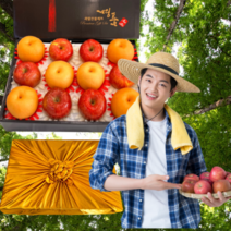 달모아 경북 사과 나주 신고배 과일선물세트 선물셋트 가정용 제수용 선물용 혼합 박스 명품 프리미엄 특품 3kg 4kg 5kg 7kg 8키로, <C>스페셜 과일선물세트2호, 1개” class=”wr-img”></a></div></div></div></div><div class=
