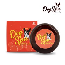 도그스파 반려동물용 한방 허브솝 120g + 비누 거품망, 2세트