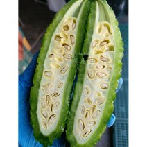 생여주 (500G) 초록 여주 천연인슐린 고야 비터멜론, 1봉, 1KG