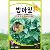 방아잎 씨앗 방아 씨 종자 1g, 1개