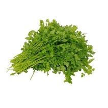 그린팜 생 처빌 100g, 단품