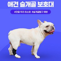 강아지탈골 슬개골탈구 슬개골 보호대 재활 강아지다리보호대, S