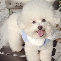 알알 양털 무스탕 조끼하네스, 스카이블루