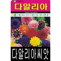 [워터트리몰] 다알리아씨앗(100립) 채소 꽃 종자 재배 씨앗 허브 나무 (A)