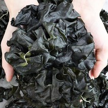 말린미역귀 미역귀효능 미역귀미역국 500g 400g 미역귀, 1박스, 1봉 500g