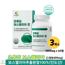 초록입 보수웰리아 보스웰리아 추출 분말 정 인도산 보스웰릭산 초록입홍합 보스엘리아 보수웰리아 60대 70대 여성 남성 관절 영양제 1000mg x 60정, 3박스