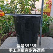 묘목 컵 비닐포트 영양 일회용 두꺼운 플라스틱 가방, 40.3535 지름 30 높이 30 칠백