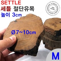 세틀 절단 유목 M(높이 2.5cm/지름 7~10cm)/수족관 어항 장식품 꾸미기 모스 수초 활착 레이아웃 컷팅 구피
