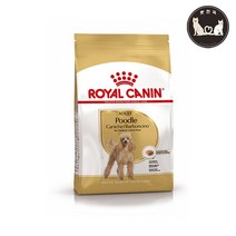 로얄캐닌 어덜트 푸들 강아지 사료 건식사료, 곡물, 4.5kg, 1개