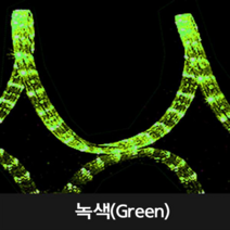 LED 원형 논네온 10M[마감+연결잭], 녹색
