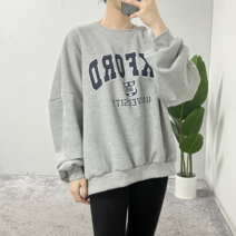 [리즈데이즈] 리메닌 기모 라운드 레터링 맨투맨