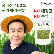 굿허브닝 새싹귀리 분말 가루 효능 주스 귀리새싹 국산 200g, 1개