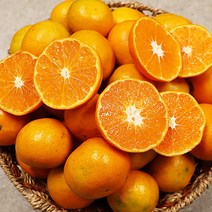 제주감귤 제주밀감 고당도 제주도 귤 5kg 10kg, 제주 감귤 로얄 5kg
