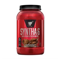 신타6 오리지널 프로틴 WPI WPC 초코 1.32KG, 1개