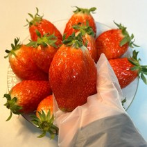 산지직송 고당도 논산 킹스베리 금실딸기 비타베리 대왕 딸기, 금실딸기/실속형35-42과